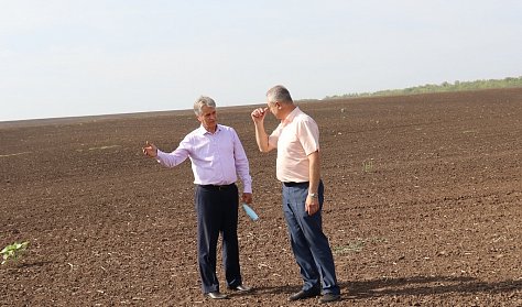 Александр Жарков посетил Красногвардейский район